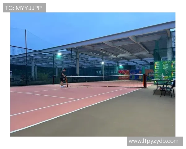 深圳网球队在锦标赛中的经验与表现分析与反思